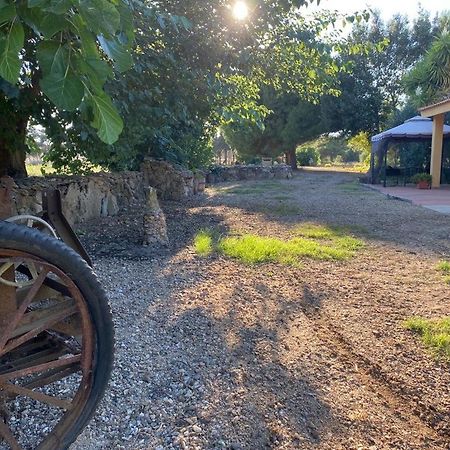 Casa Margherita Cabras Bagian luar foto