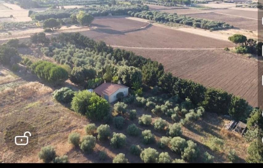 Casa Margherita Cabras Bagian luar foto