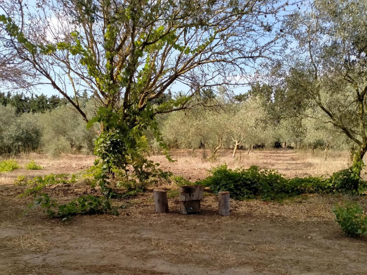 Casa Margherita Cabras Bagian luar foto